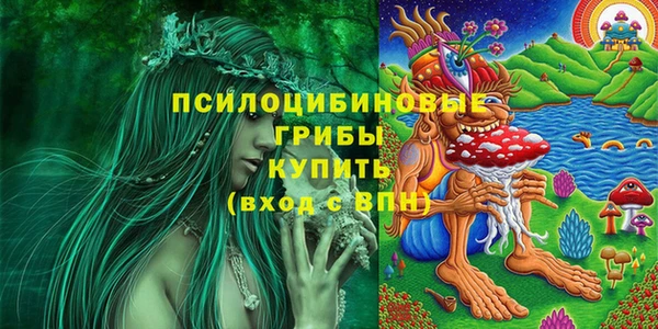 круглые Магас