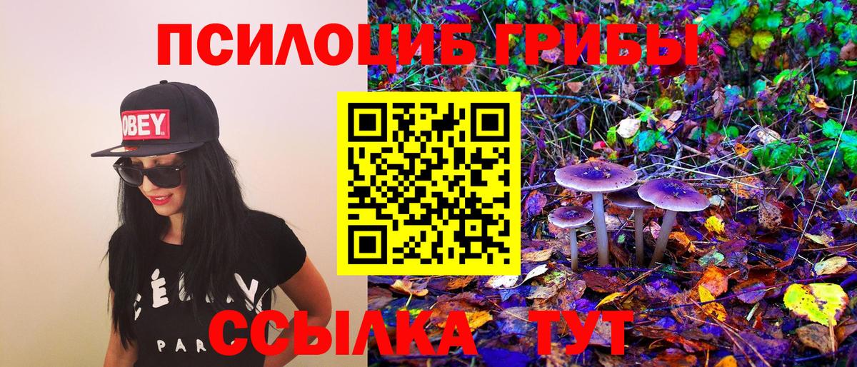 Галлюциногенные грибы Cubensis Пермь