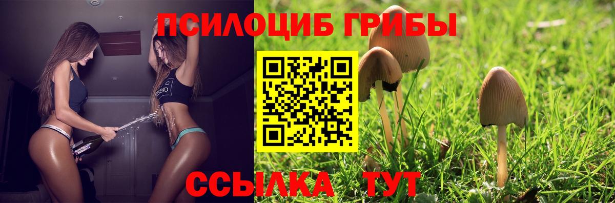 Галлюциногенные грибы Psilocybe  Псилоцибиновые грибы Cubensis  Пермь  как найти закладки  Вход с VPN 